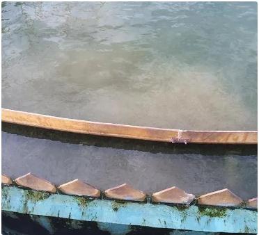 ��ʱKB88��(�й���)�ٷ���վ