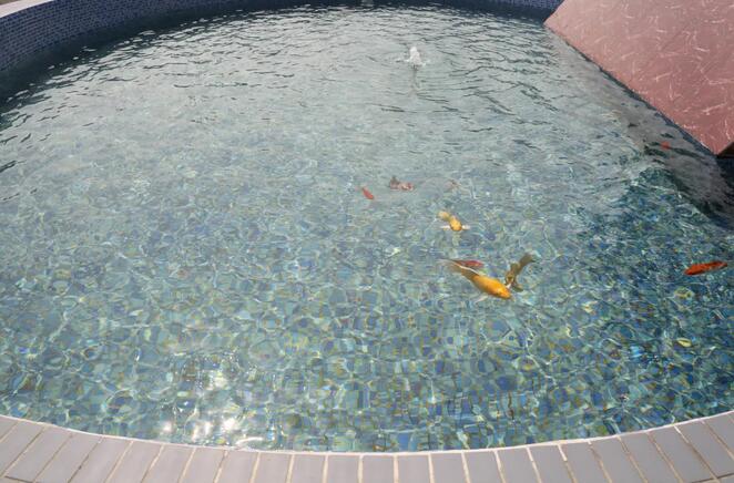 ��ʱKB88��(�й���)�ٷ���վ