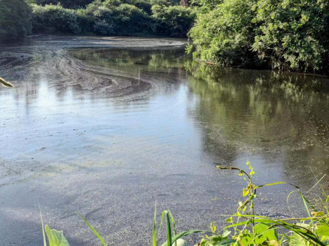 ��ʱKB88��(�й���)�ٷ���վ