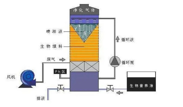 ��ʱKB88��(�й���)�ٷ���վ